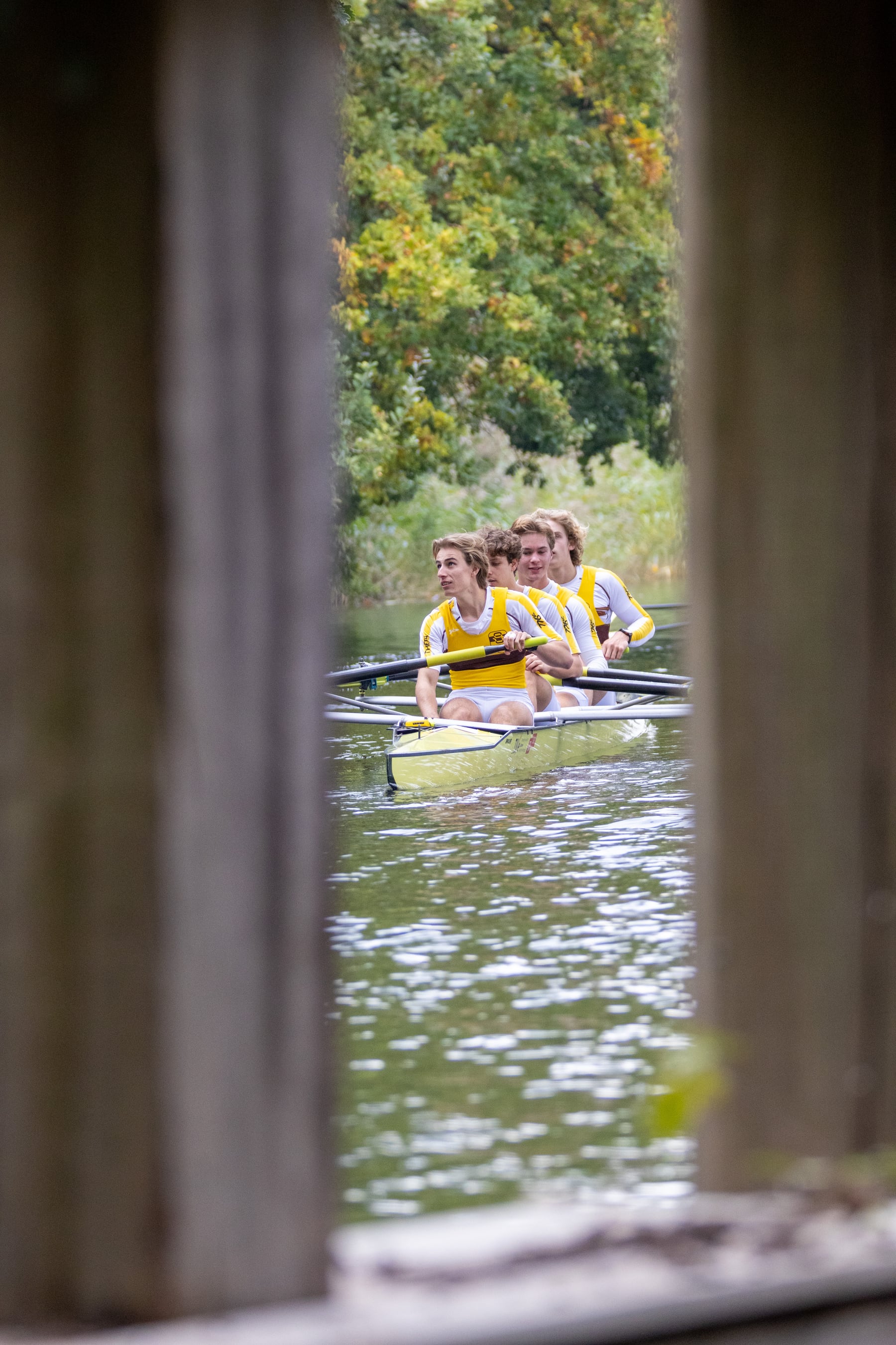 A yellow rowing crew seen between wooden posts during Herfstregatta.
