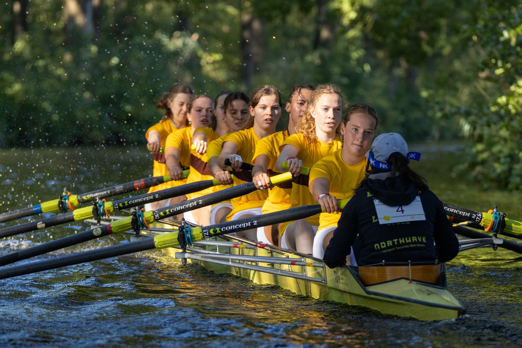 A women's crew in yellow rowing toward camera through warm autumn reflections.
