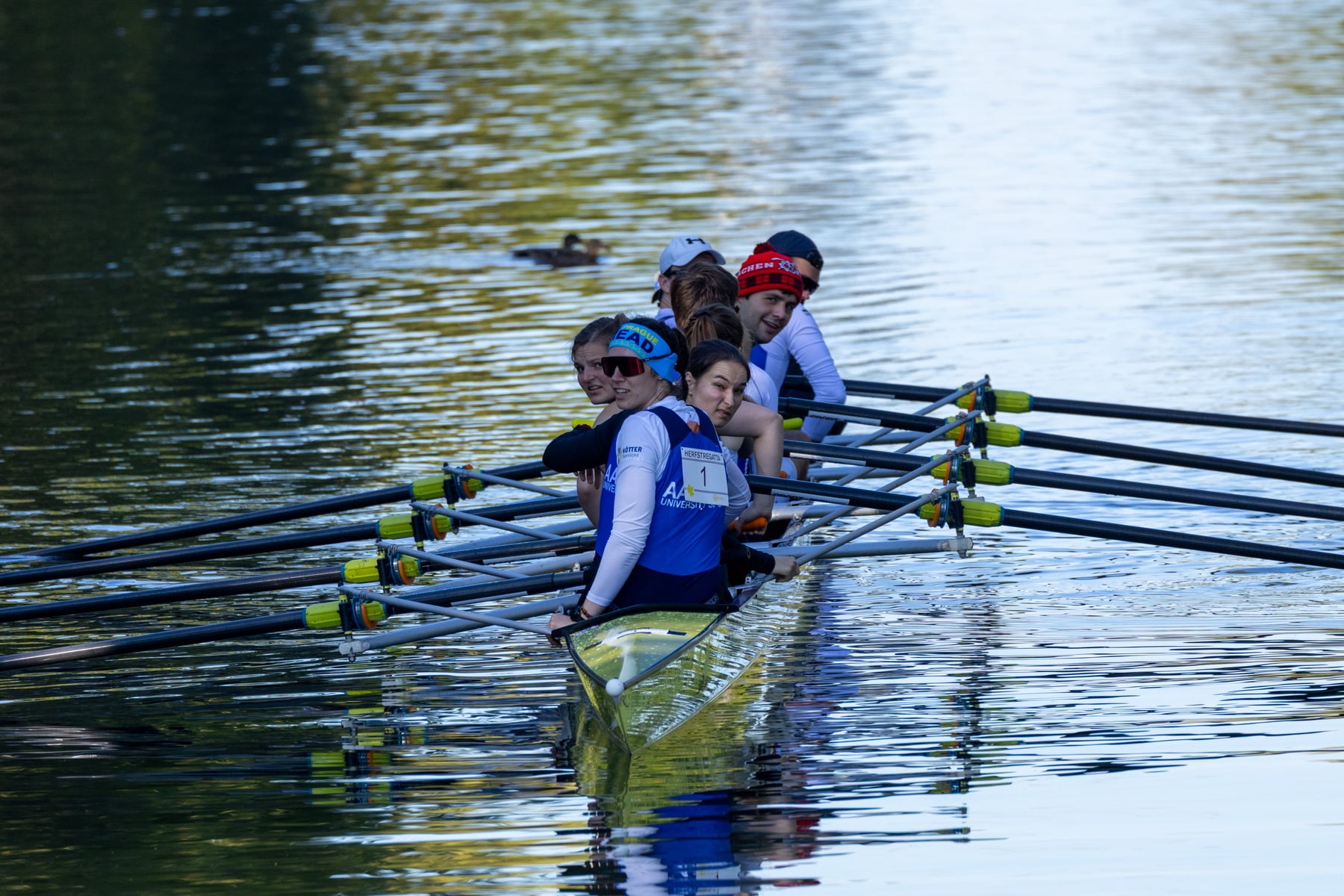 A blue crew rowing toward camera with blades spread across the water.