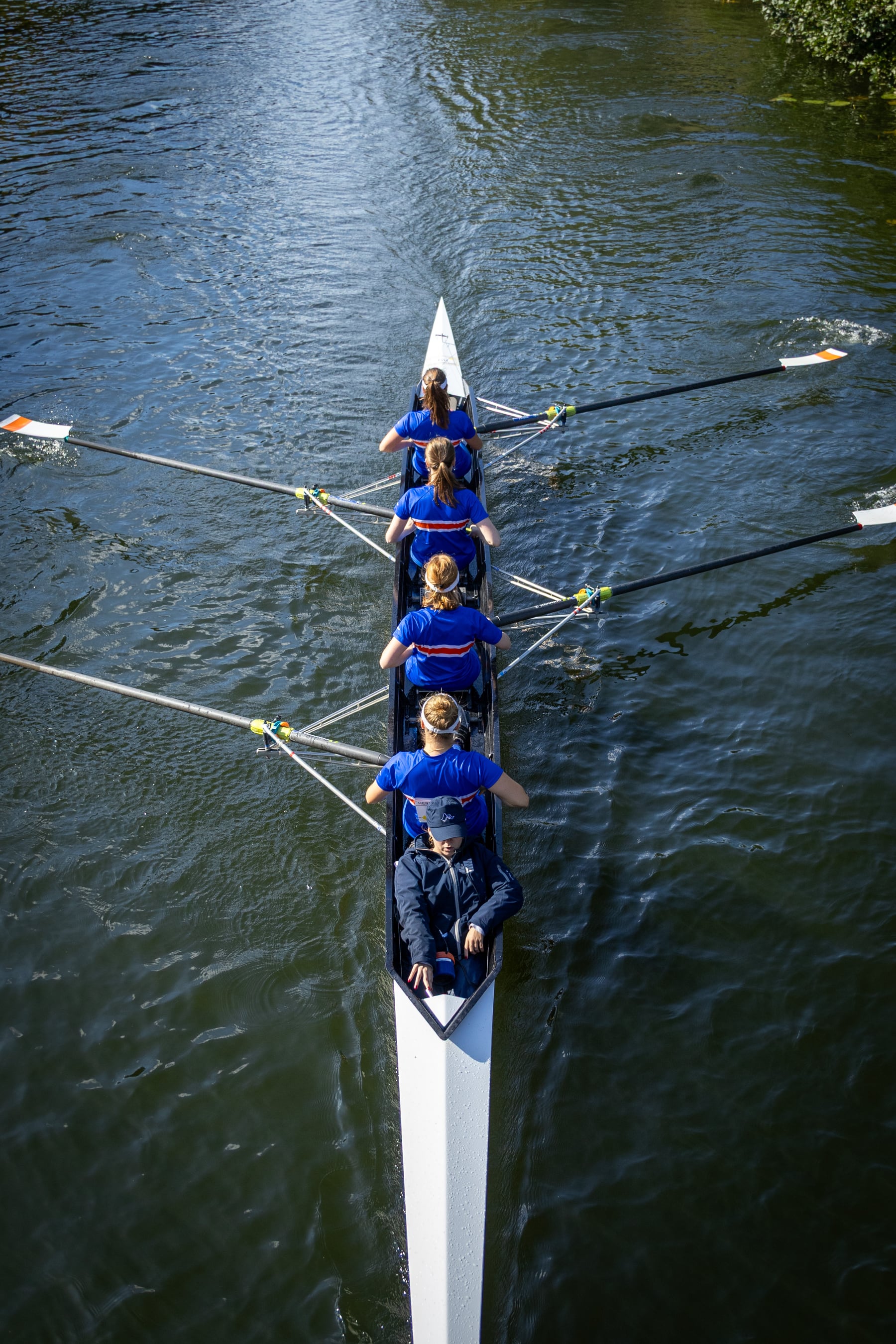 An overhead view of a blue crew rowing in formation on dark water.